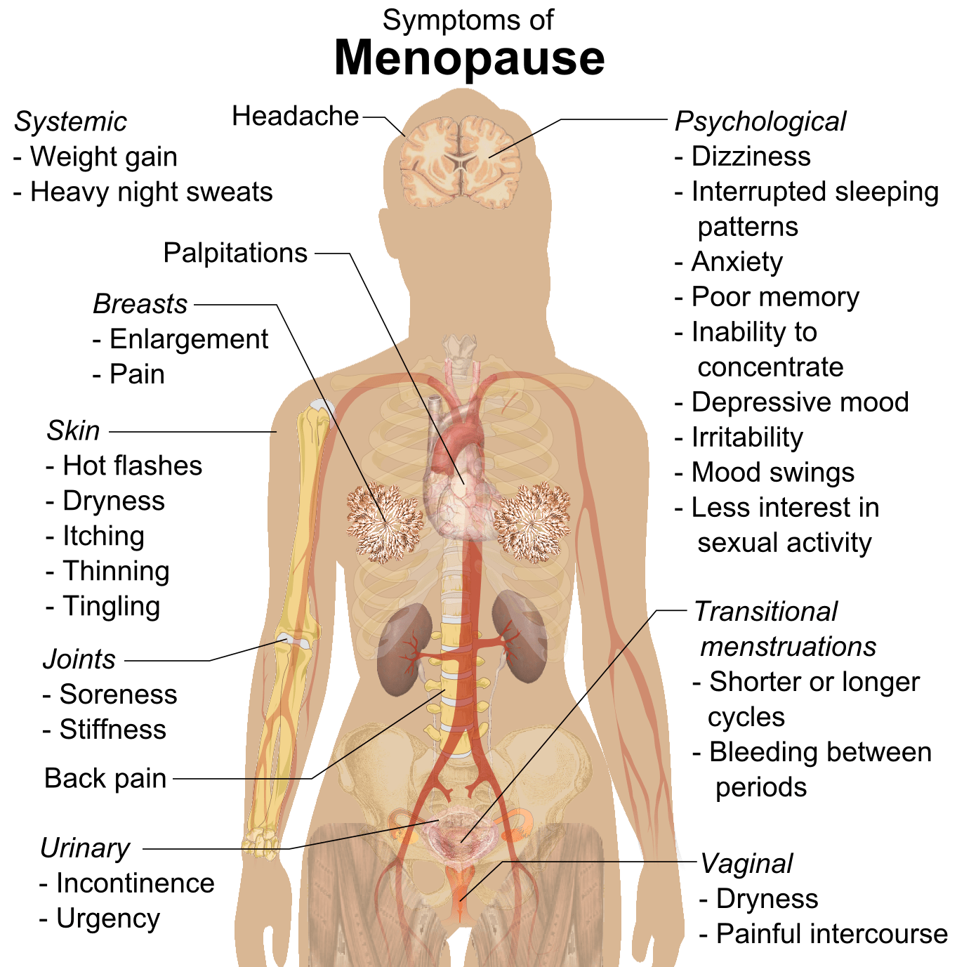 Healthy Menopause With Homeopathy Dr Thind s Clinic