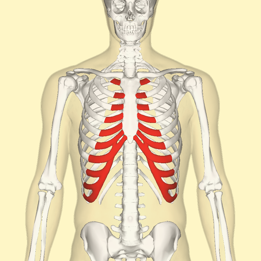 Costochondritis Causes Symptoms Diagnosis Treatment