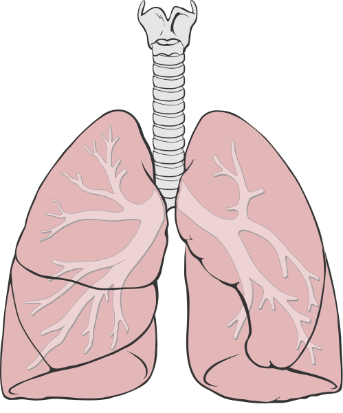 Lung Abscess Causes & Symptoms | Homeopathic Treatment