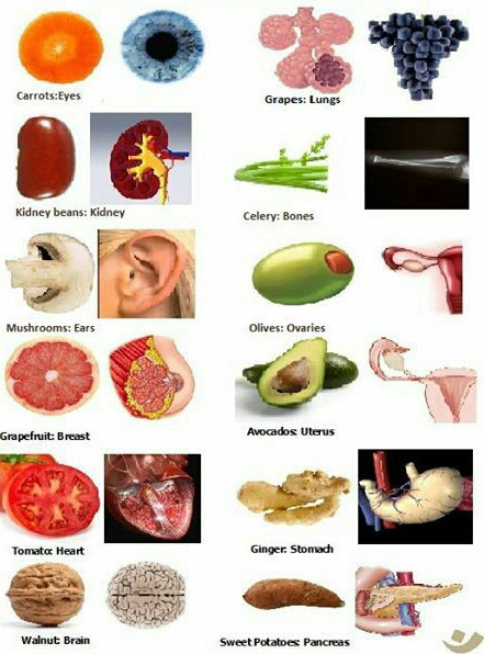 17 Foods That Resemble Your Body Parts And Their Benefits | Dr. Thind