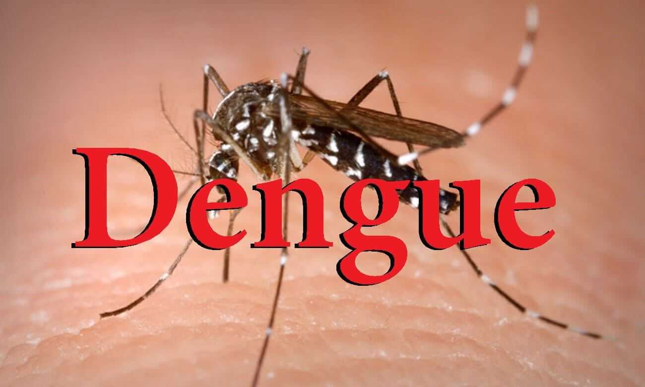 Homeopathy Offers The Best Treatment For DENGUE Dr Thind